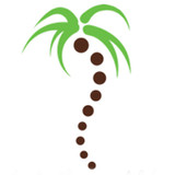 Pura Vida Chiropractic3.0_rowtechapk.com