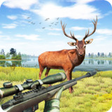 Forest Animal Hunting Games1.3.9_rowtechapk.com