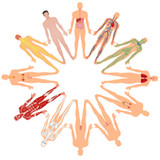 BioMais (versão 2.0)0.0.13_rowtechapk.com