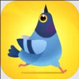 Pigeon Pop<span>(Unlimited Currency)</span>1.2.5_rowtechapk.com