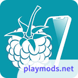 RaspController<span>(Premium Unlocked)</span>5.7.4_rowtechapk.com