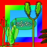 Plant Evolution2.17_rowtechapk.com