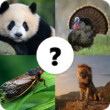 Animals Quiz2.0.1_rowtechapk.com