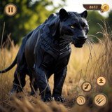 Wild Animal Hunt Panther Games0.5_rowtechapk.com
