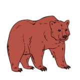 How to draw animals step by st1.2_rowtechapk.com