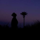 Mohammed Saied: Music2_rowtechapk.com