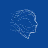 Bluenumber PMA10.8_rowtechapk.com