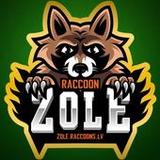 Latvian card game: RaccoonZole3.1.25_rowtechapk.com