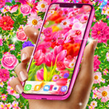Spring live wallpapers22.6_rowtechapk.com
