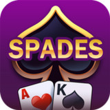 Spades Offline Card Games1.1.5_rowtechapk.com