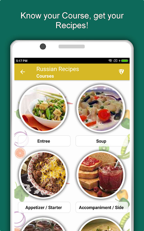 Russian Food Recipes Offline screenshot image 14_Popularmodapk.com