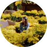 Gilmore Girls QuizV9_rowtechapk.com