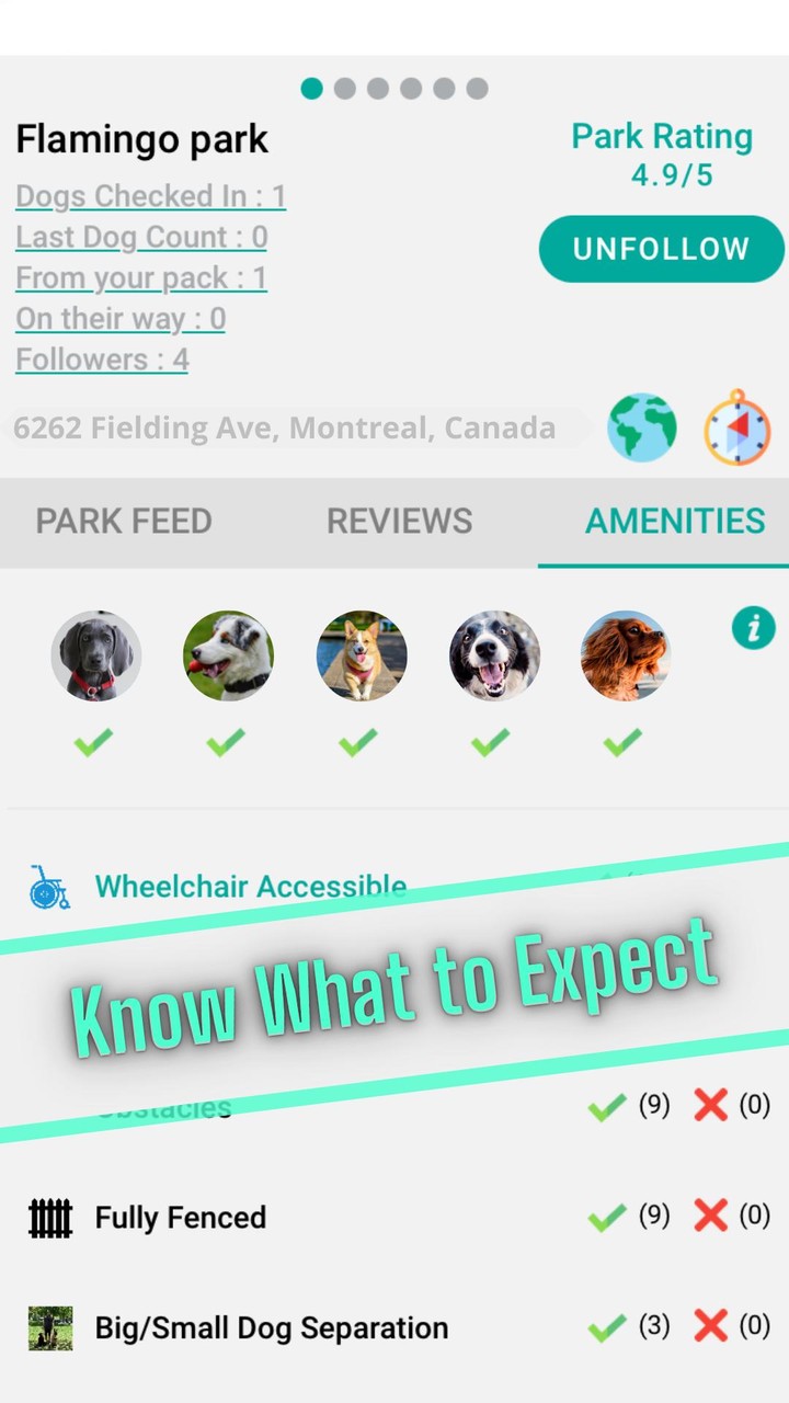 DogPack screenshot image 2_Popularmodapk.com