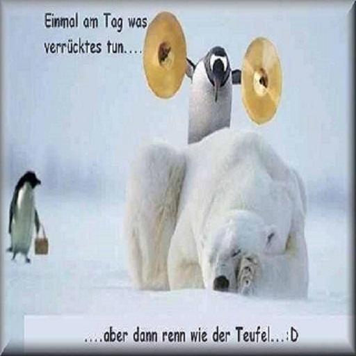 Lustige Bilder für Whatsapp screenshot image 3_Popularmodapk.com