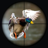 Duck Hunting Wild Adventure1.4_rowtechapk.com