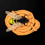 Delicious Jalebi : DZ Game2022-02-24_rowtechapk.com