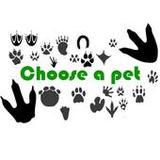 Choose a pet1.0_rowtechapk.com