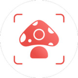 Picture Mushroom - Mushroom ID2.8.14_rowtechapk.com