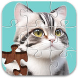 Jigsaw Puzzle1.0.1_rowtechapk.com