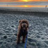 The Louis App1.4_rowtechapk.com