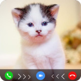 cat fake video call prank6.0_rowtechapk.com