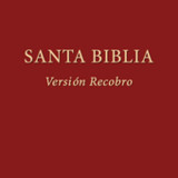 Santa Biblia Versión Recobro1.1.62_rowtechapk.com