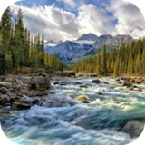 River 4K Video Live Wallpaper5.0_rowtechapk.com