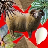 Escapegame DreamlessRoom(No Ads)1.0.1_rowtechapk.com