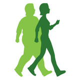 Bernstein Diet2.70_rowtechapk.com