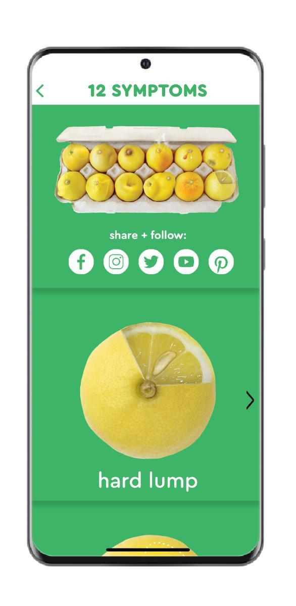 DoggeChat screenshot image 1_Popularmodapk.com