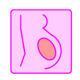 Pregnancy calculator1.11_rowtechapk.com