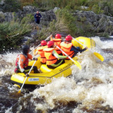 Sa Forest Adventures1.0.0_rowtechapk.com