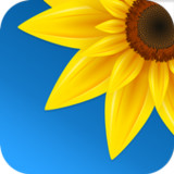 Gallery - Photos & Videos3.3_rowtechapk.com