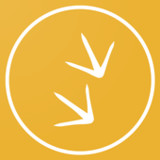 Kekava Viss Tas8.10.14_rowtechapk.com