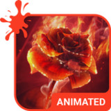 Burning Rose Keyboard Theme5.5.2_rowtechapk.com