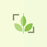 PlantID - Identify Plants1.0.3_rowtechapk.com