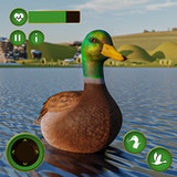 Ultimate Duck Family Sim2.6_rowtechapk.com