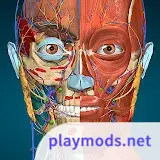 Anatomy Learning - 3D Anatomy<span>(Full version Unlocked)</span>2.1.425_rowtechapk.com