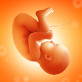 Pregnancy and Due Date Tracker3.56.0_rowtechapk.com