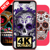 Sugar Skull Pictures 💀 Sugar Skull Wallpapers 💀19.9.100030_rowtechapk.com