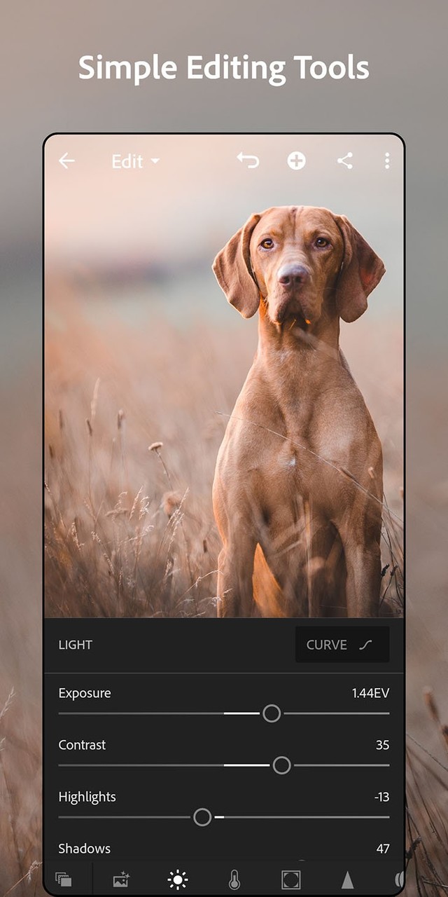 Adobe Lightroom<span>(Premium Unlocked)</span> screenshot image 1_Popularmodapk.com