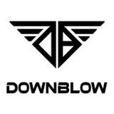 downblow1.0.10460_rowtechapk.com