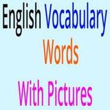 English Vocabulary: Charts, Tables with Images2.0.50_rowtechapk.com