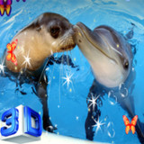 Dolphin Live Wallpaper - Scree191.GG_rowtechapk.com