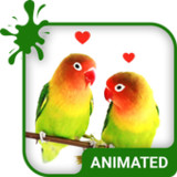 Lovebirds Keyboard + Wallpaper5.5.2_rowtechapk.com