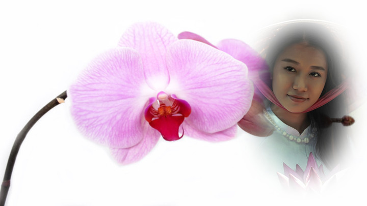orchid photo frames costume montage editor screenshot image 5_Popularmodapk.com