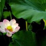 Firmware Know-How1.0.0_rowtechapk.com