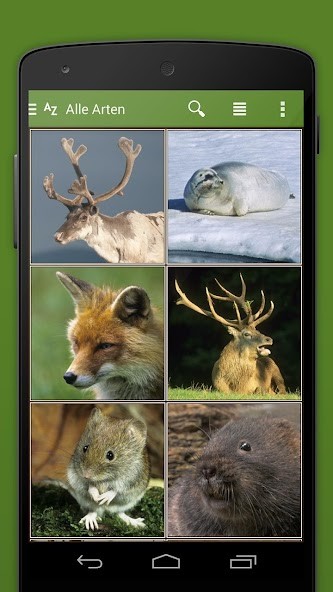 ISIWI screenshot image 4_Popularmodapk.com