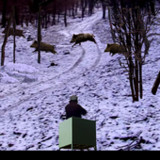 Batida jabali2.1_rowtechapk.com