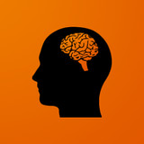 Mnemonist - memory training1.10.0_rowtechapk.com